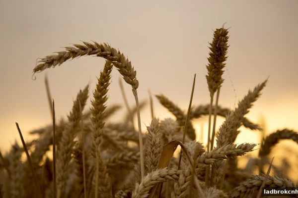 立博体育中文版·新疆时时彩新手返利全攻略：解锁专属福利的智慧之道